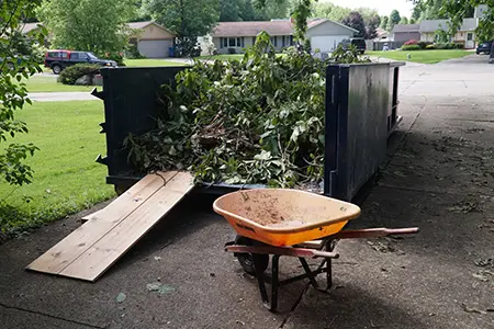 Landscape trimming and shaping